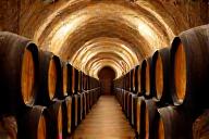Historic wine cellar in Lower Austria