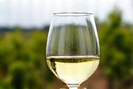 Glass of Styrian white wine with vineyard background